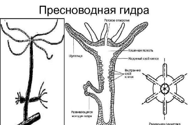 Кракен маркетплейс ссылка