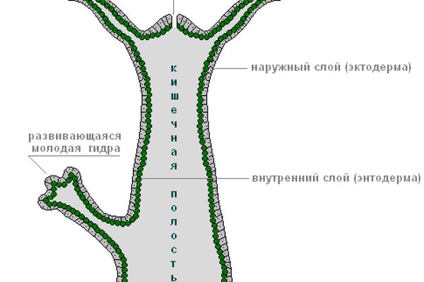 Ссылка на кракен в тор на сегодня