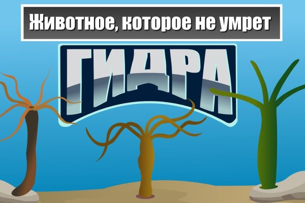 Переход на кракен