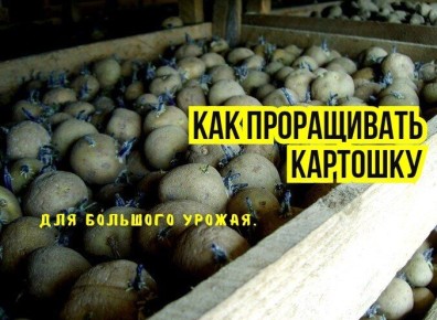 ���� ��� ����: ��� ��������� ����������� �������� ��� ������