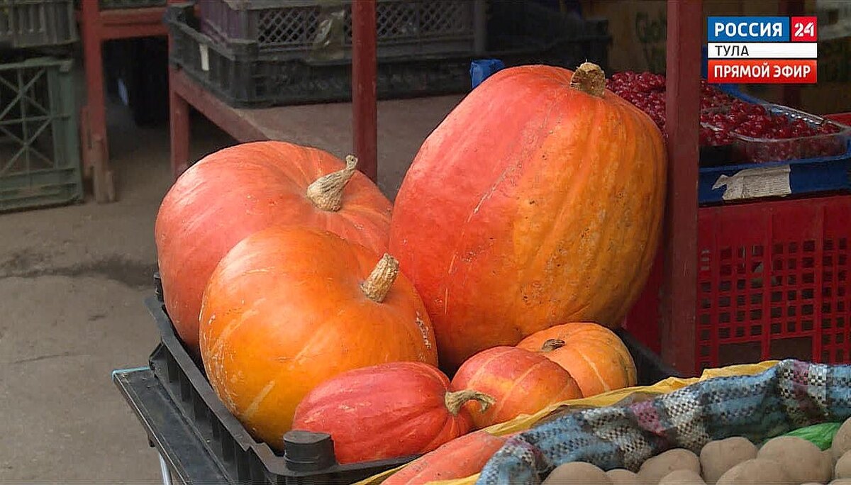 Тыква: изысканный ингредиент для осеннего стола