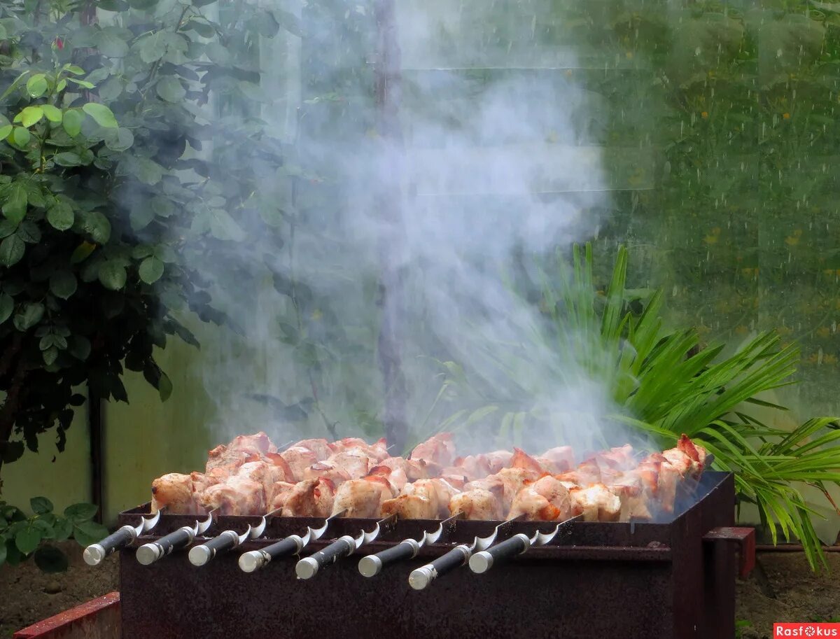 Почему заморозка мяса перед жаркой может сделать шашлык настоящим шедевром