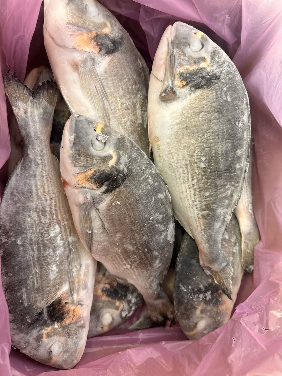 Дорадо: море в вашем меню