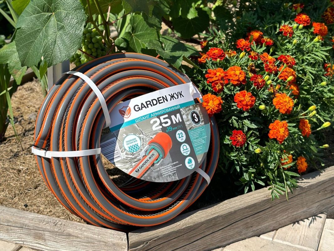 ��� ��������� ����: ������� �������������� ������� �� ������� ������