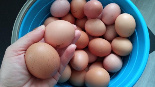 Почему деревенские жители выбирают магазинные продукты вместо фермерских