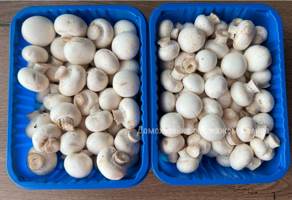 ���������� ������������: ������������ ���������� ��� ���� � � �������� �������