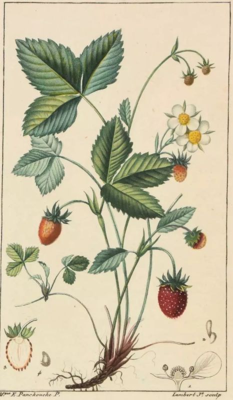 ����������� ���: ������������� ����������� � ��� �������� ��������