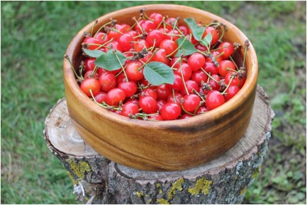 Как приготовить идеальный компот на зиму: классический рецепт