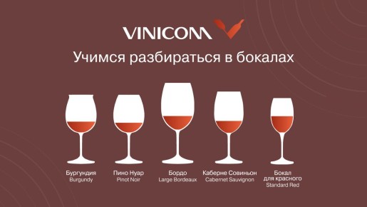 Как выбрать идеальный бокал для вина: секреты дегустации