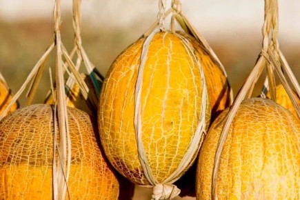 ����: ������� � �������� �������