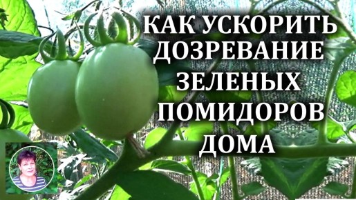 ��� ���������� �������� ���������� ������� ��������� � �������� ��������