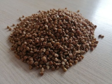 ���� �� ������: ������ �� ������� �� ��������