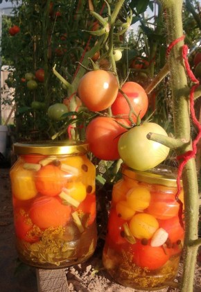 ���� ������������ ��������� � ������� � �����, ������� ������ ���