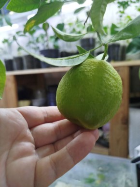 ��������� � ����� �� ����������� � ������ ������