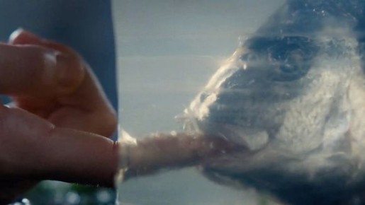 ������� ���� � ���� � ����� ��������� ��������