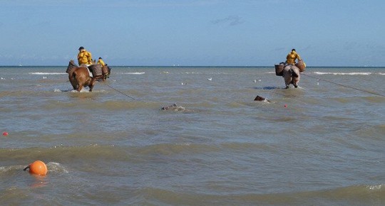 �������� � ������: ��������� ���� �� ������ ��������