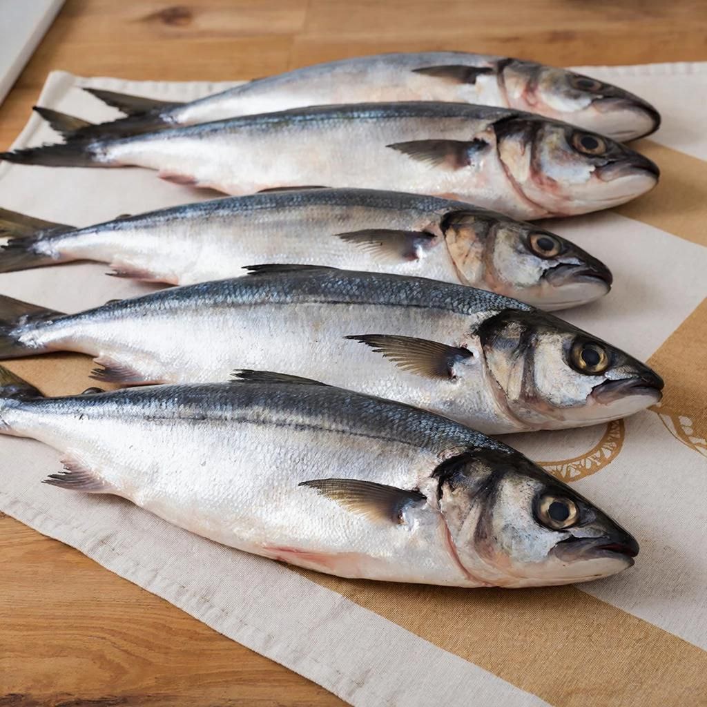 Как выбрать недорогую и полезную рыбу для здорового питания