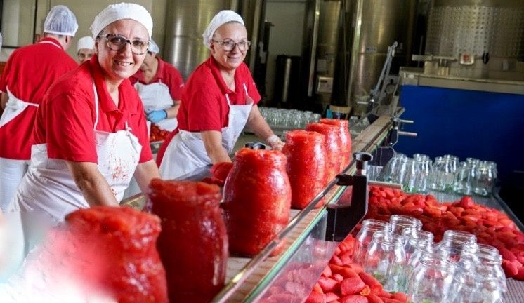 Томатные соусы на любой вкус: от пиццы до борща