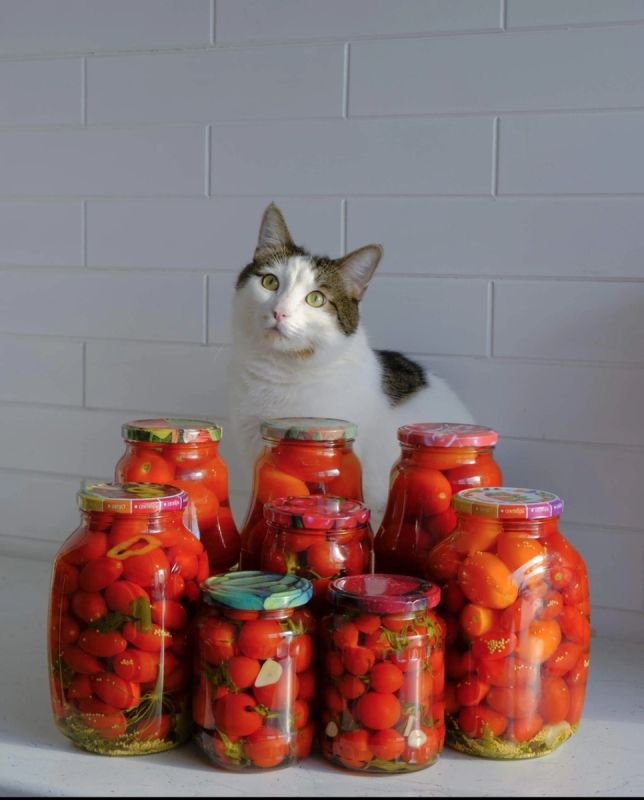 Идеальные маринованные помидоры: легко и вкусно