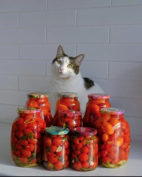 ��������� ������������ ��������: ����� � ������