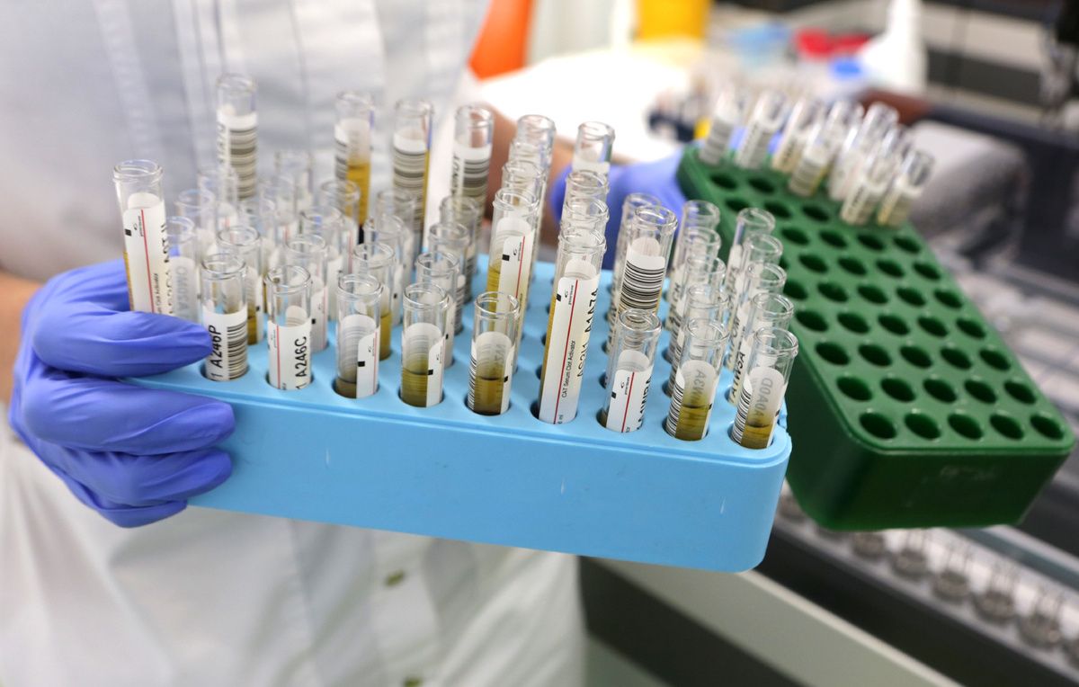 ������� ������������ �������: � ���������� ������� ����� �������� ������� � �������