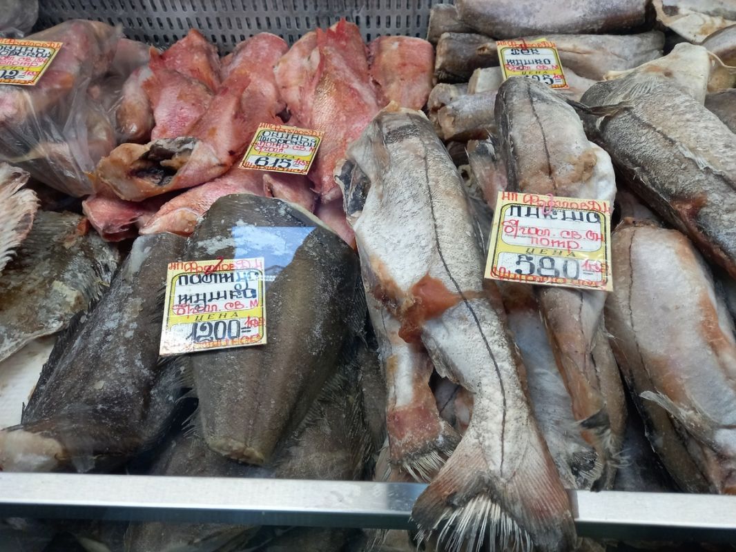 ���� �� ����: ��� ������ ��� ����������� ����� ������ ����