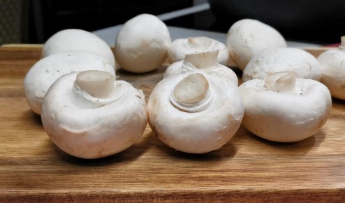 ������� �����: ������� ������, ������� ������� ����