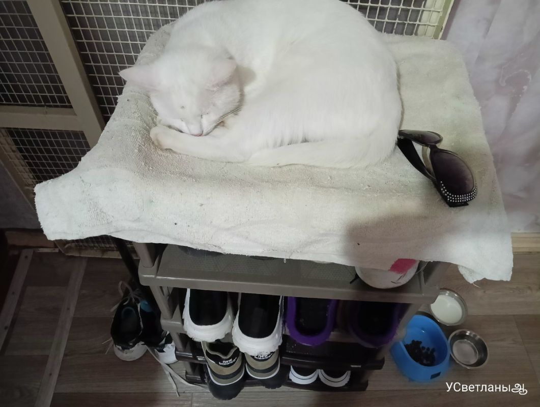 ������ ��� � ���������� �������: ������� ����� �����