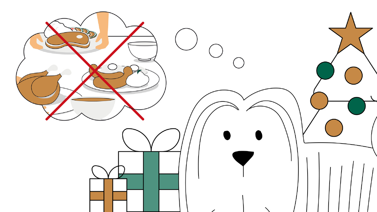 Новые кулинарные идеи: лакомства для ваших собак в новогодние праздники