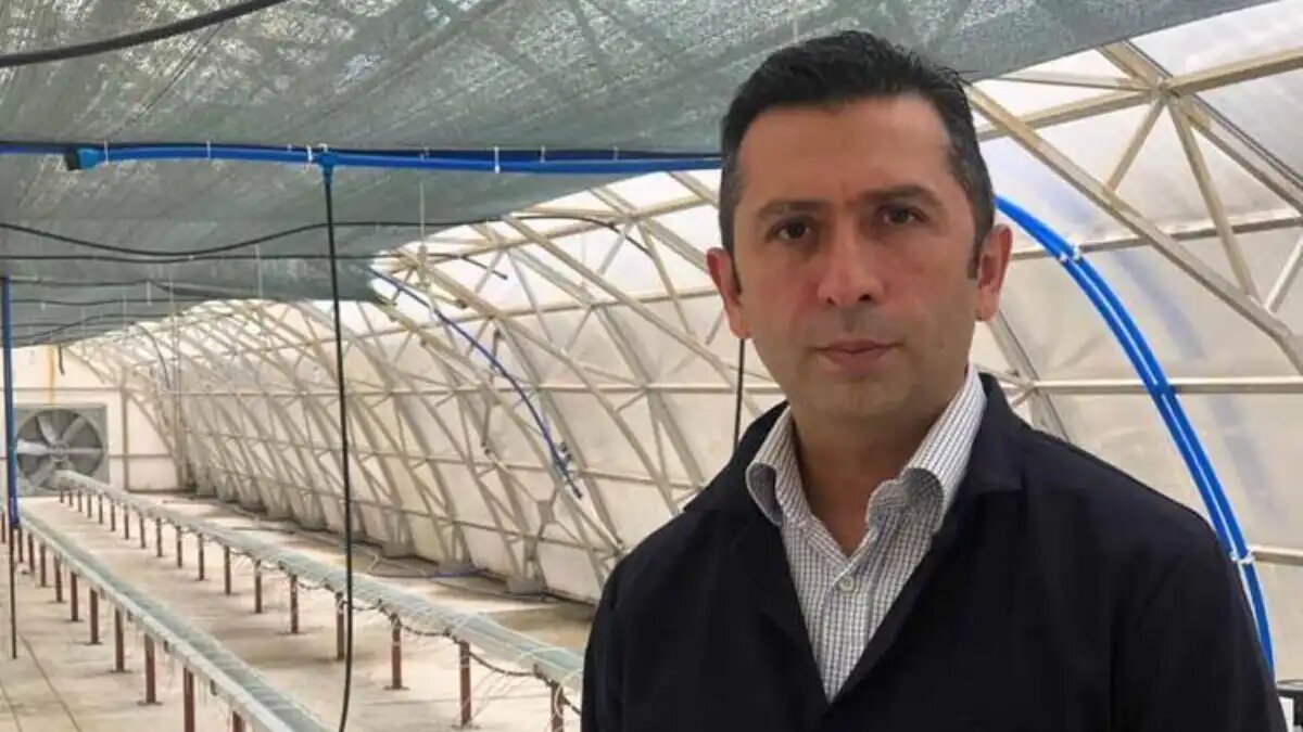 Чайный субстрат: новая эра для гидропонного земледелия в Турции