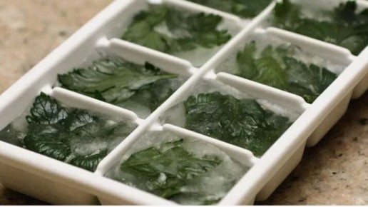 ��� ��������� ������ ������ �����: ����������� ������