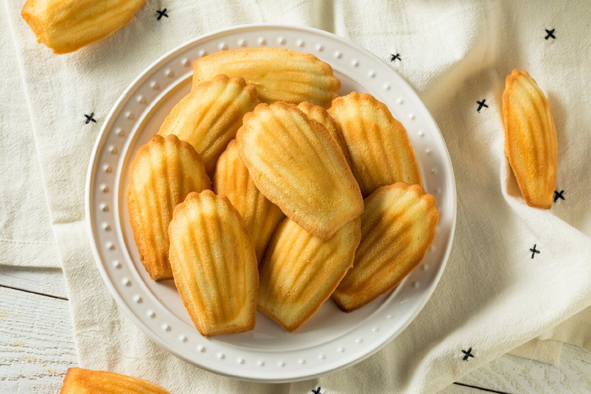 ����� ��������� ��������: ��� ������� ������ �� �����