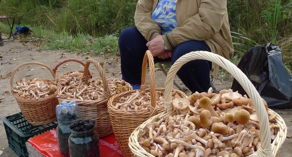 ��� ������ � ��� ��������� ������ ������ ����� ����