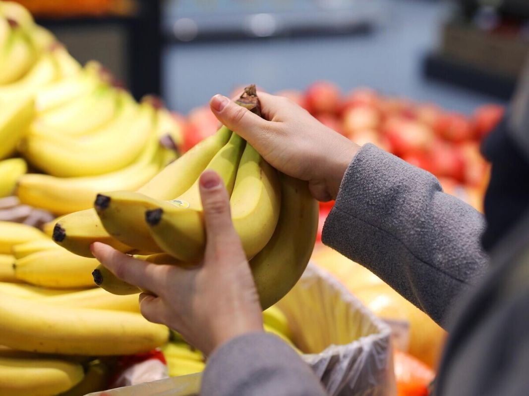 ��� ������� ��������� �����: ������ �� �����������