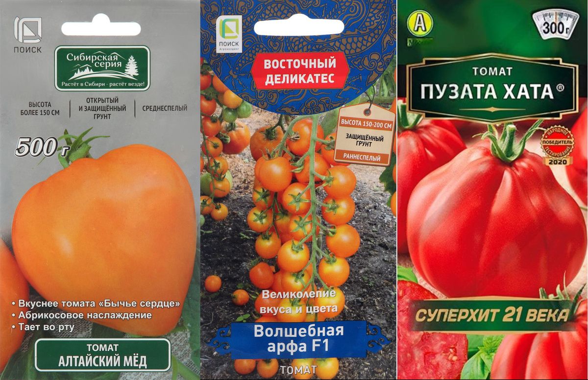 ������ ����� ������� ��� ������ �������