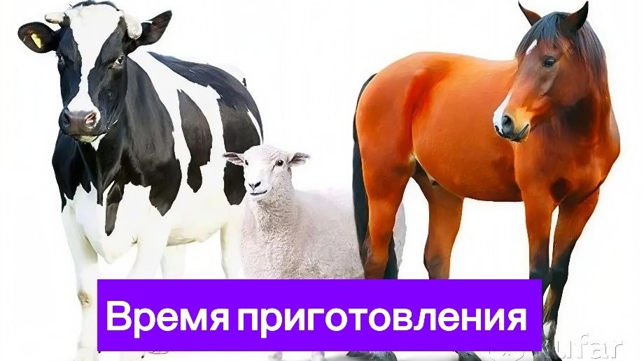 ��� ��������� ������ � ������ ����: ��������� �������� ��� ������� ����