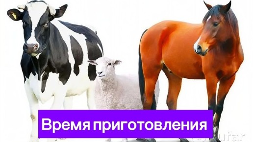 Как правильно варить и жарить мясо: идеальные тайминги для вкусных блюд