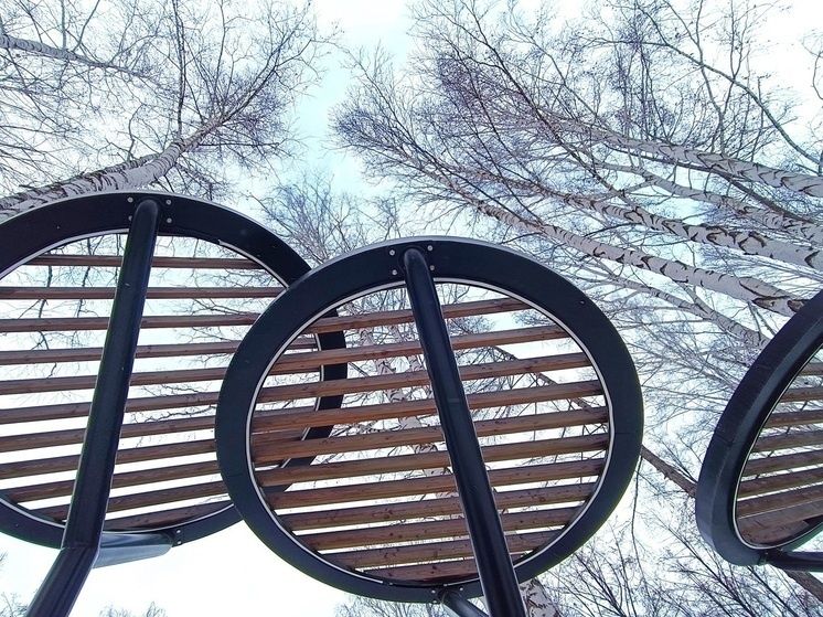 ������� ��������� � ����� �����������: �������� � �����