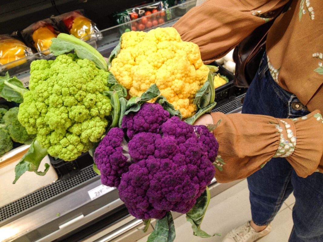 ������� �� �����: �������� ����� �������� ��� �����