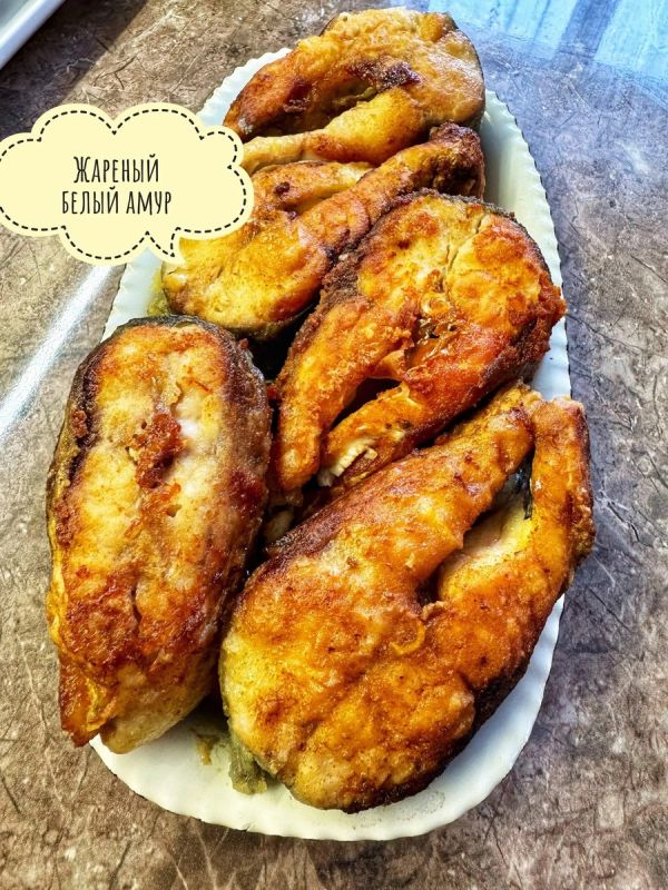 ������������ ������� ����� ������: ������� ������