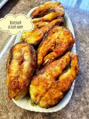 ������������ ������� ����� ������: ������� ������