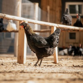 ���������� ������: ������ � ����� � ������