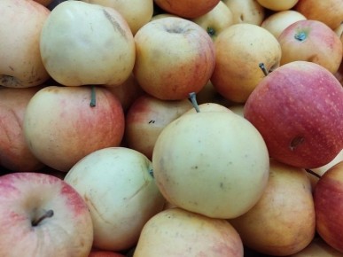 ��� ���������� ���� � ������ ������: ������ �������