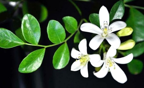 ��������: ���������� ������ � ������� ���������� ��� �������� � �������