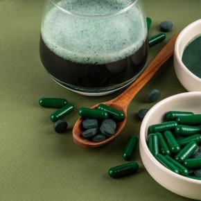 ���������: ���� � ����������