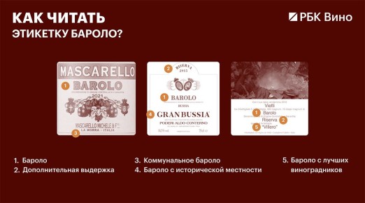 Как выбрать идеальное бароло: советы по чтению этикетки