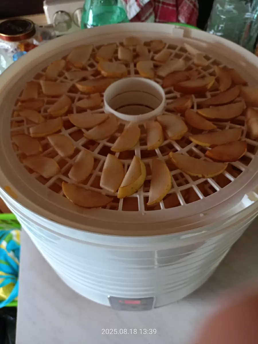 Солнечное лакомство: как сделать грушевые чипсы в домашних условиях