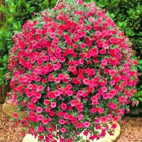 �������� ��������: 16 ������������ ������ ������� ��� ������ ����