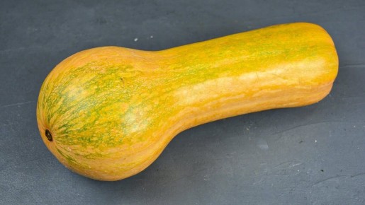 ������ ����� �� �������: ��� ������� ������� �������� �����