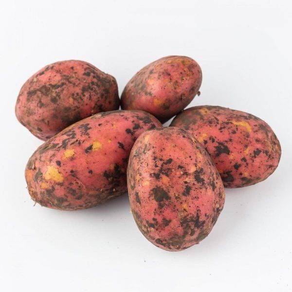 ��������� ��� ����: ��������� ����� ��� ������ �����